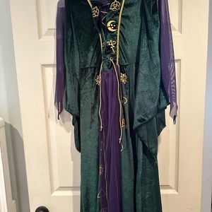 Disney Winifred Halloween costume